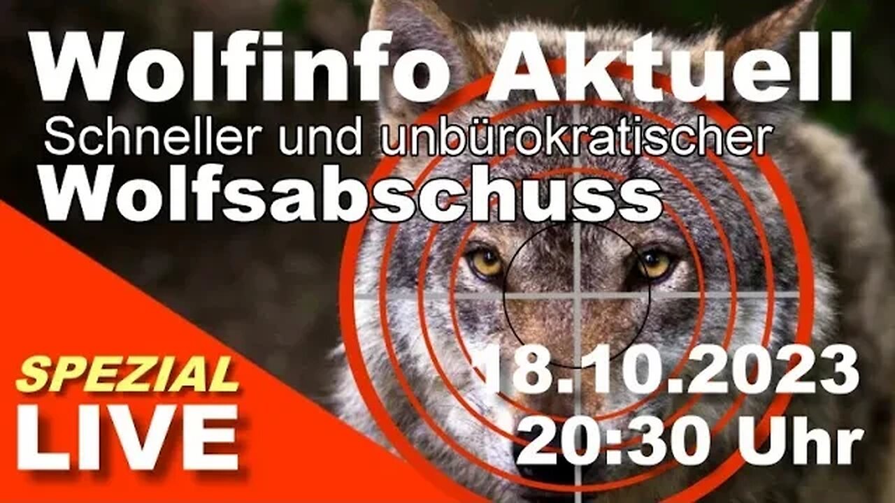 Wolfinfo Aktuell SPEZIAL LIVE (Lemke möchte schnelle und unbürokratische Wolfsabschüsse. )