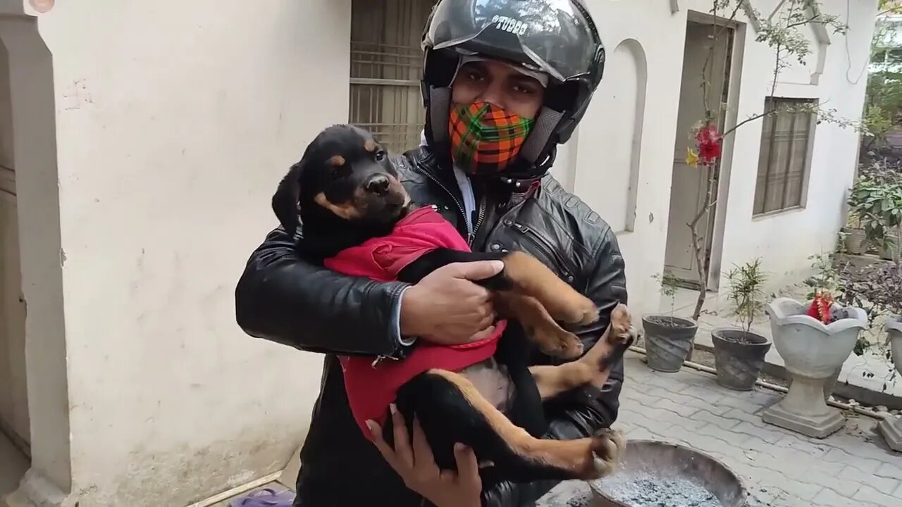 Rottweiler name is Polu :D