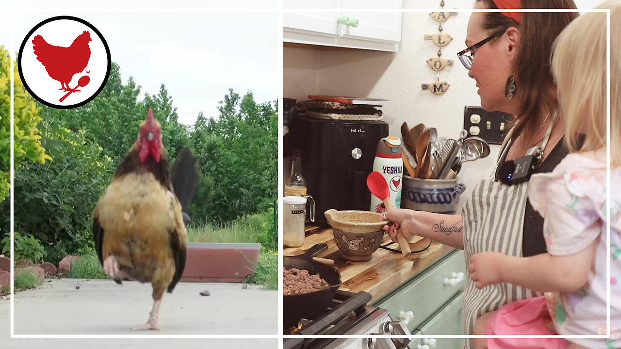 Story Time & Ketovore Shepherd's Pie (Keto/Carnivore)