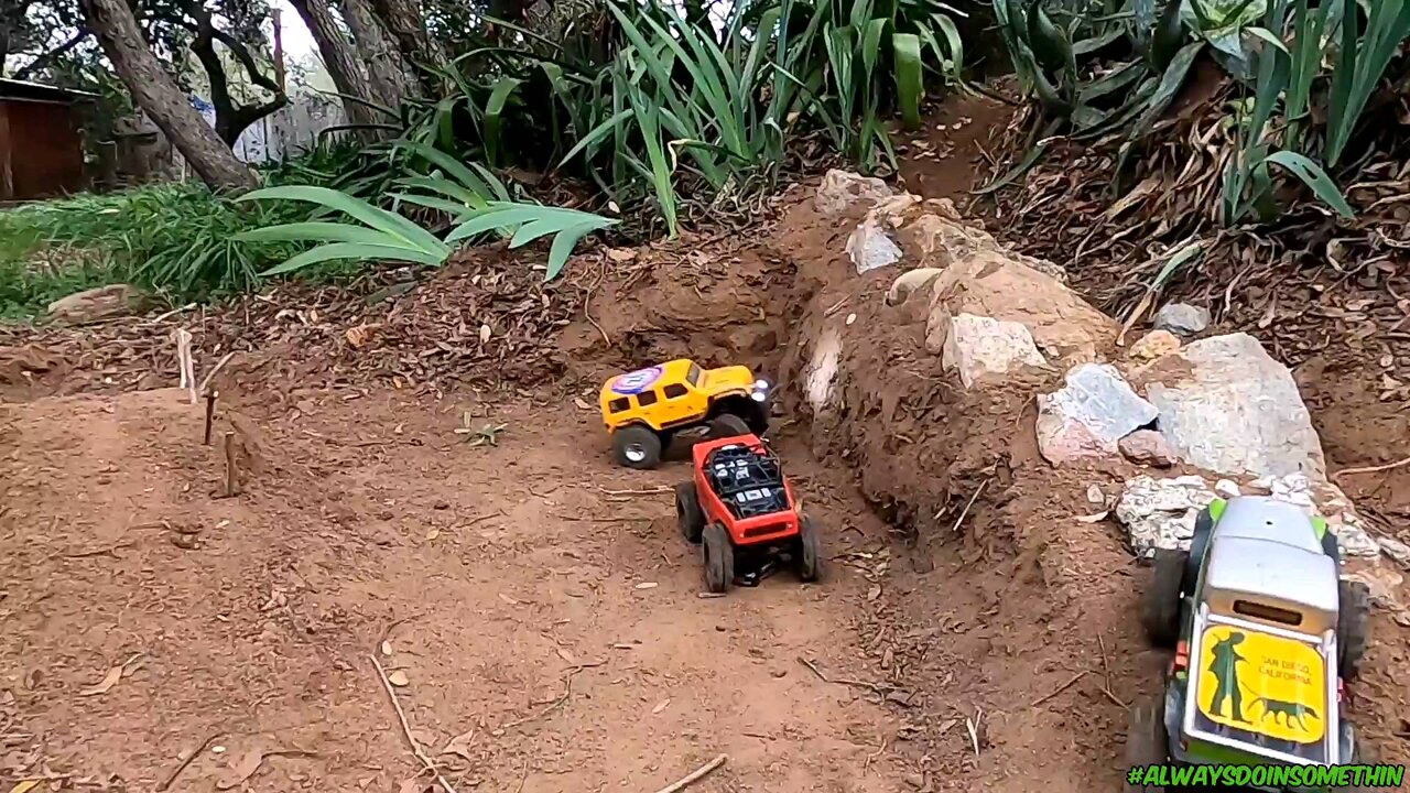 RC 1-24 Scale