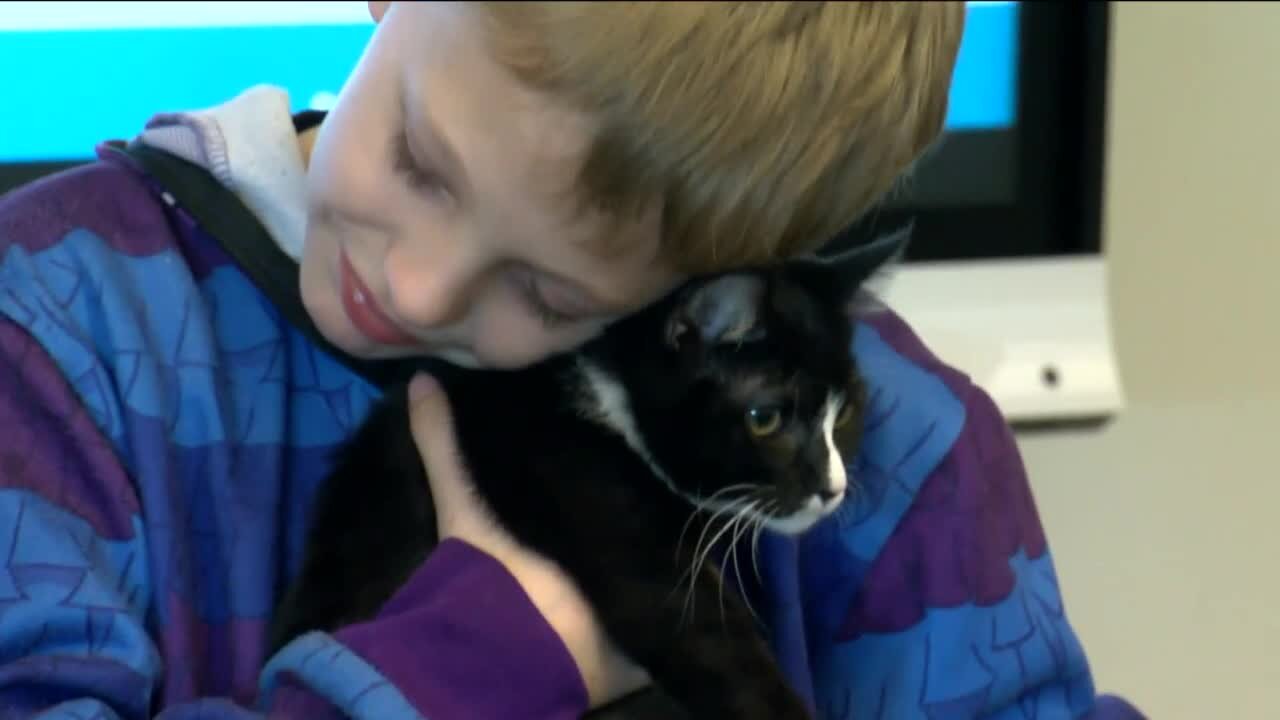 Racine Police surprise a young boy who lost his kitten to an apartment fire: 'I'm very happy."