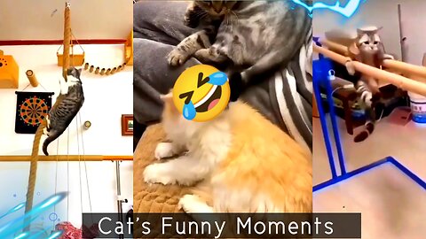 Trending Best Funny Animal Videos || Funniest Dogs And Cats Videos