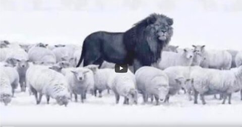 Mini Live Du 29 Mars