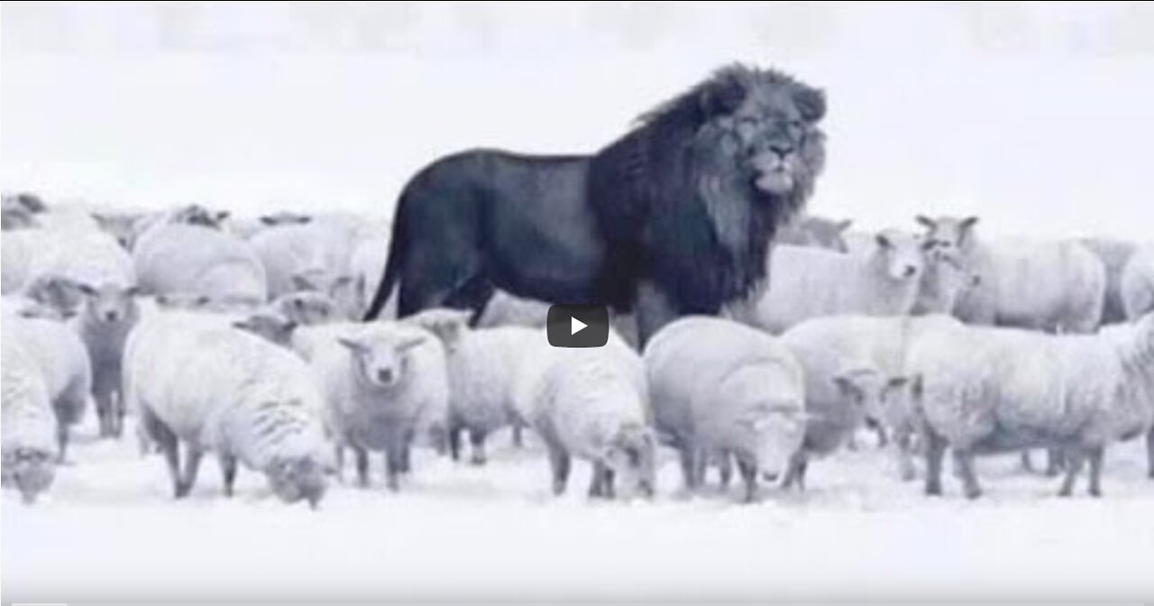 Mini Live Du 29 Mars