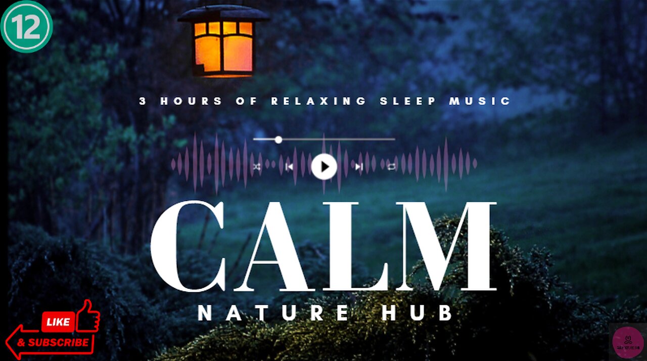 Nature's Gift: 3 Hours of Zen, River & Thunder White Noise for Sleep, Study & Meditation | #12