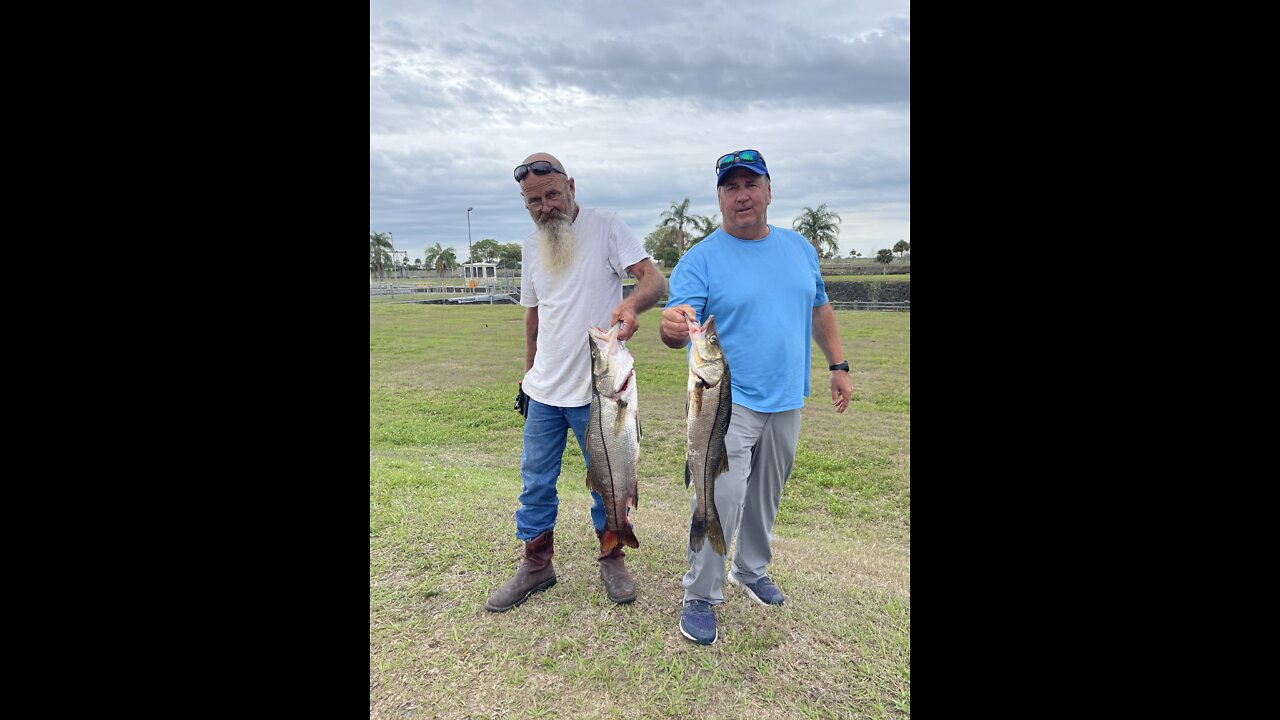 Snook Fishing from the Ortona Lock