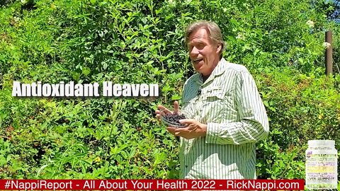 Antioxidant Heaven with Rick Nappi #NappiReport