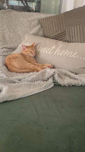 A B C D E F G H I LOVE YOU