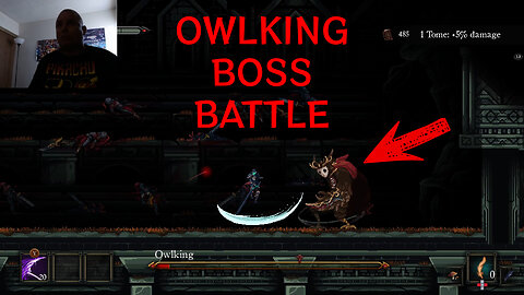 OWLKING BOSS BATTLE