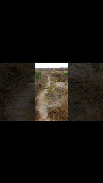 Molhar as plantas agora nesse frio