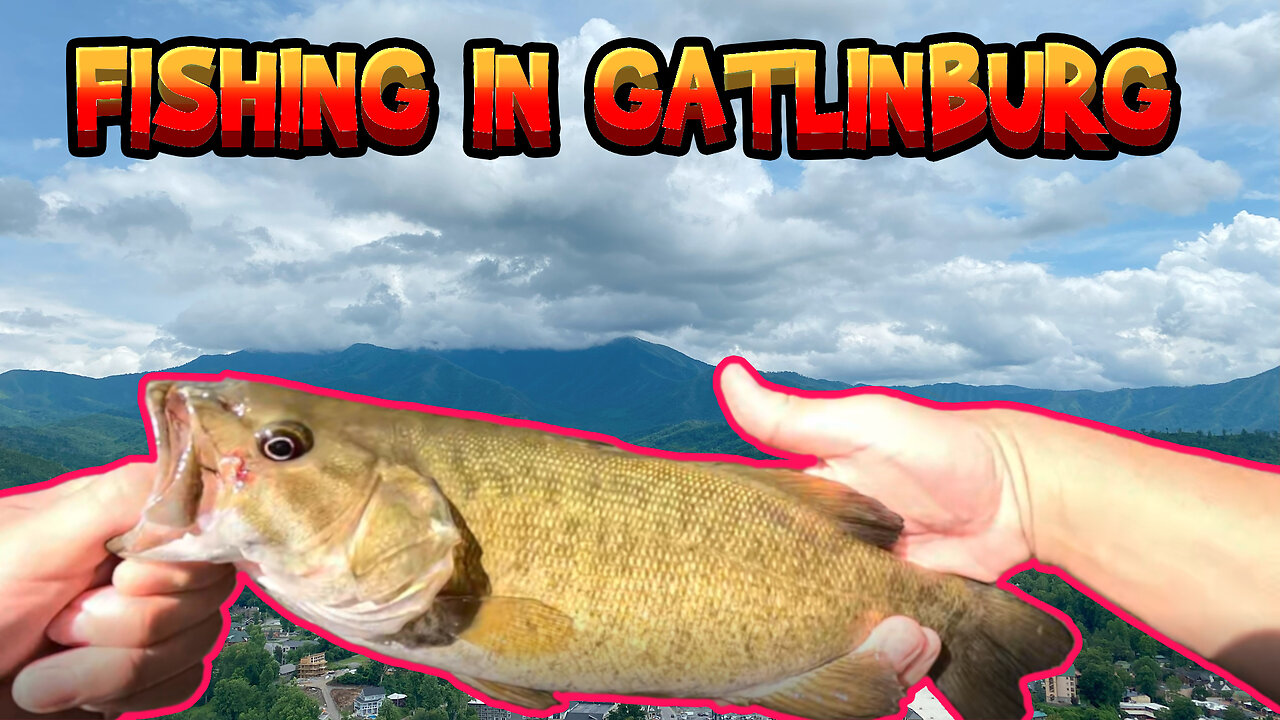 BASS WERE CRUSHING IT NEAR GATLINBURG, TN!!