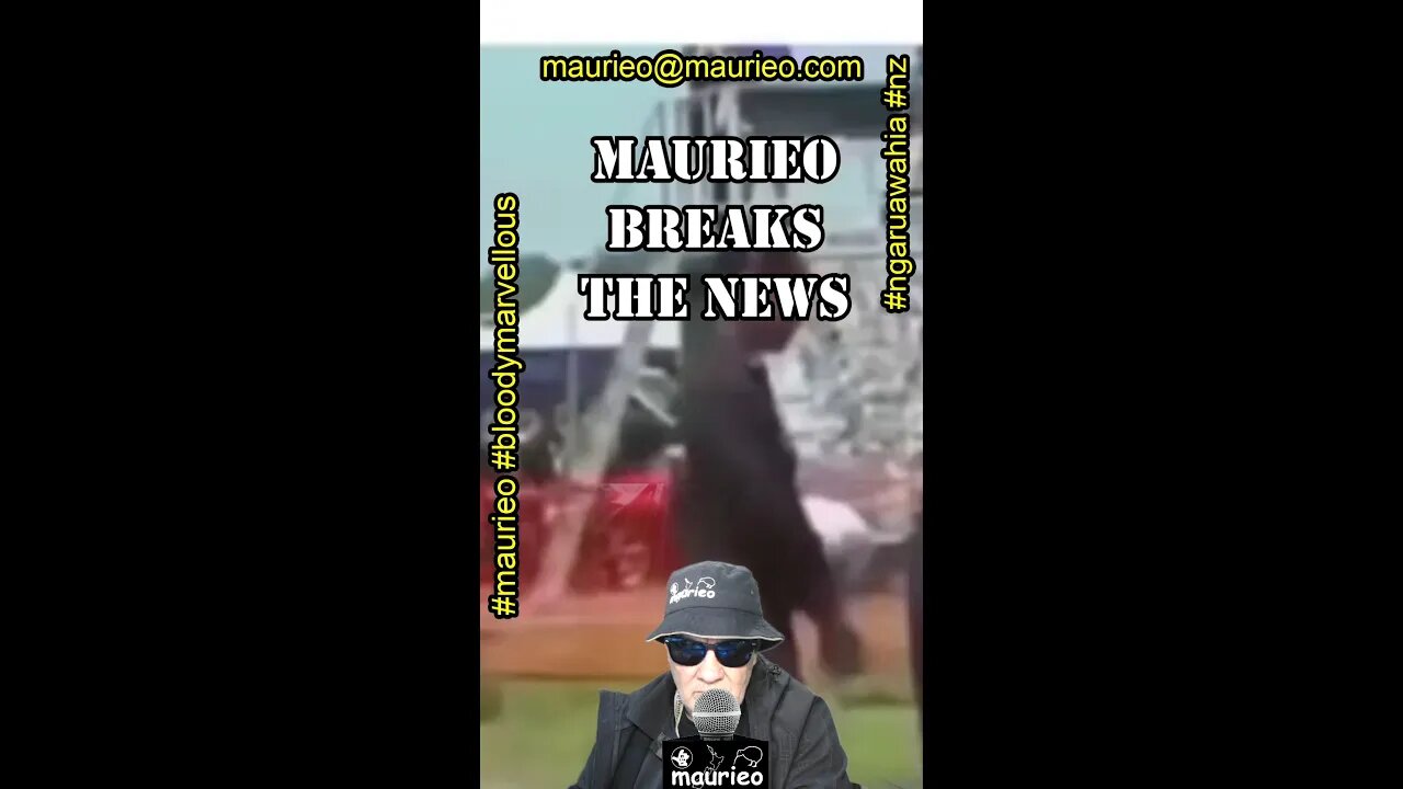 maurieo #shorts COURAGEOUS DUTCHMAN FLIES