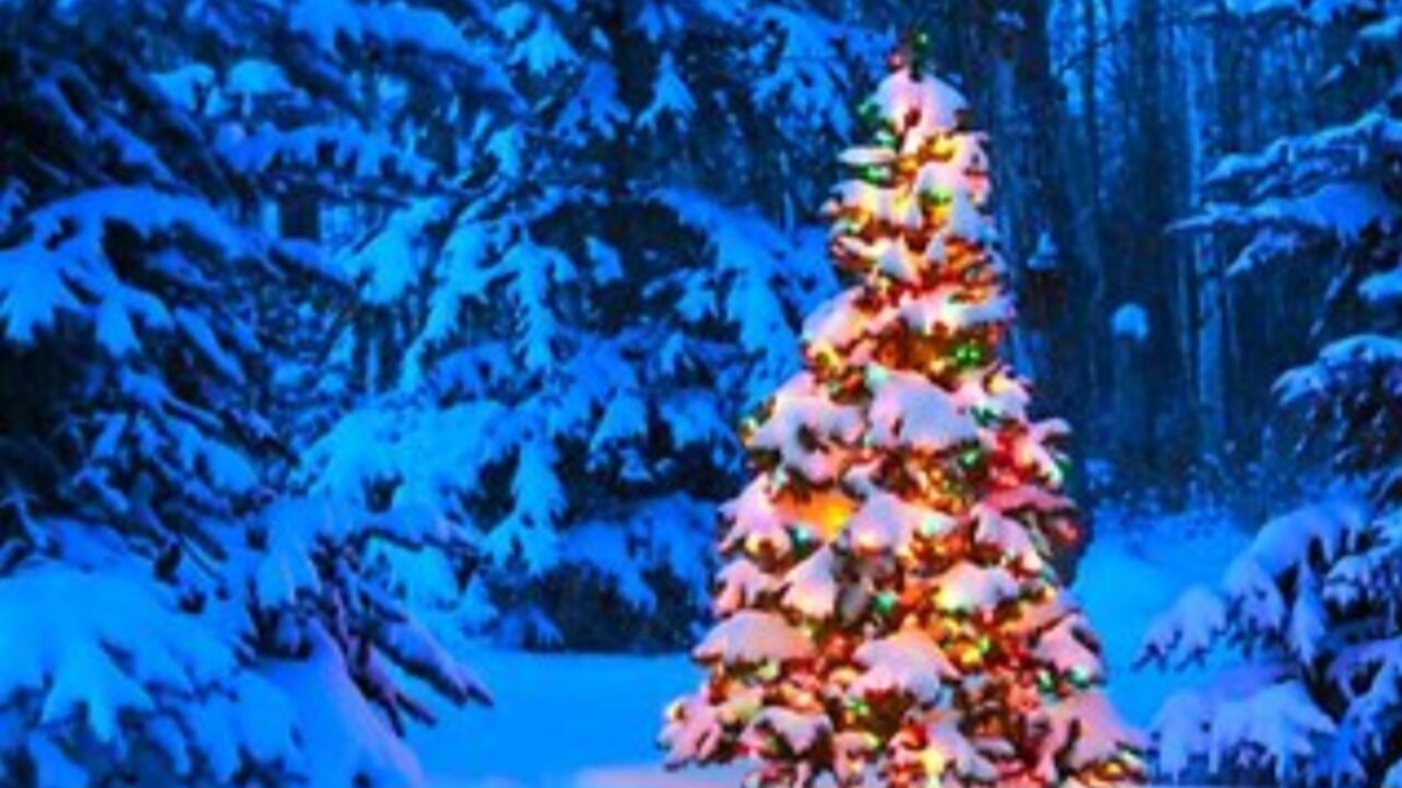 Rashad Jamal Christmas Hoax Part 1
