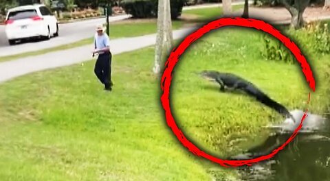 Alligator Runs After Fisherman in South Carolina