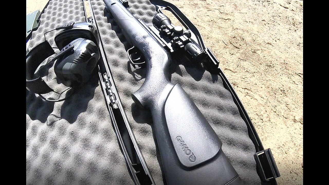 Break Barrel Air Rifles - Beeman RS2 and Gamo Whisper Nitro