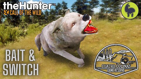 Bait & Switch, Cuatro Colinas | theHunter: Call of the Wild (PS5 4K)