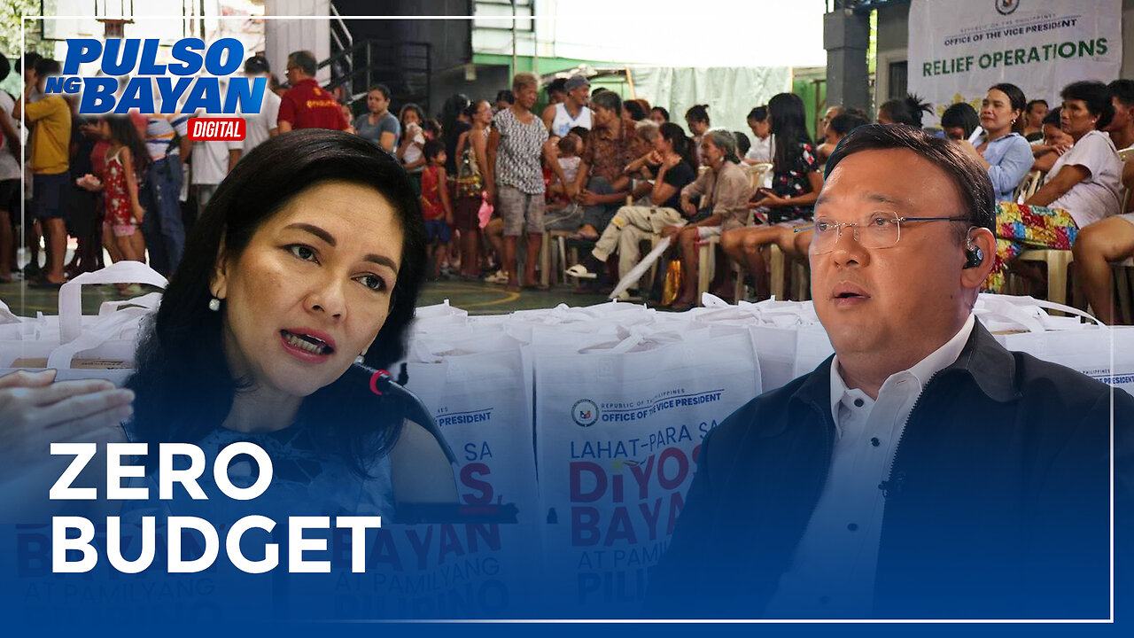 Pagpupuntirya ni Hontiveros sa budget ng OVP, pamumulitika — Atty. Roque