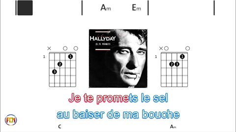 JOHNNY HALLYDAY Je te promets - (Chords & Lyrics like a Karaoke) HD