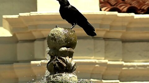 SAN GABRIEL CALIFORNIA USA SLOW MOTION