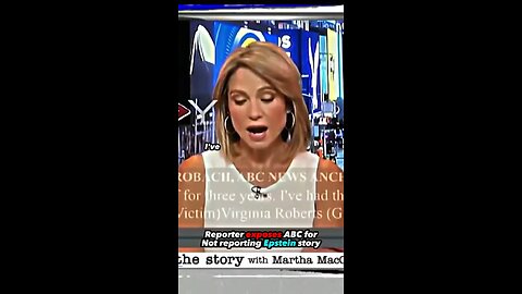 Reporter exposes abc for not reporting Epstein story