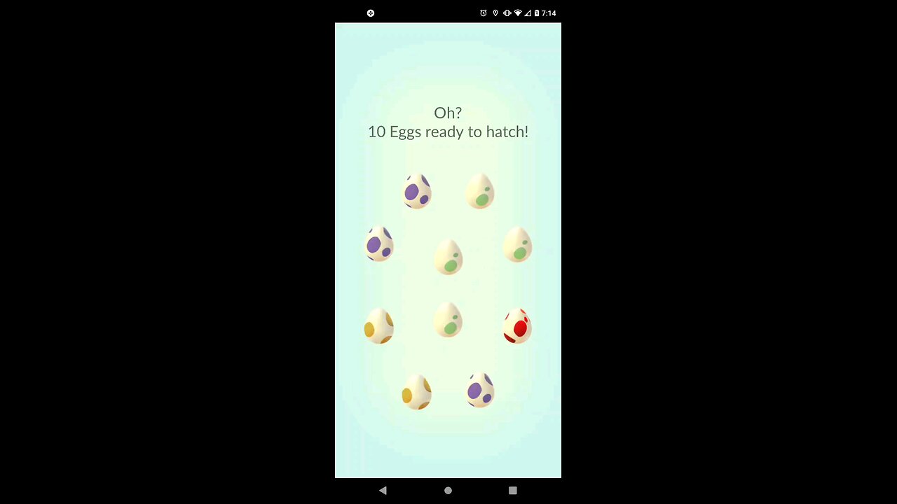 Pokemon Go Fun