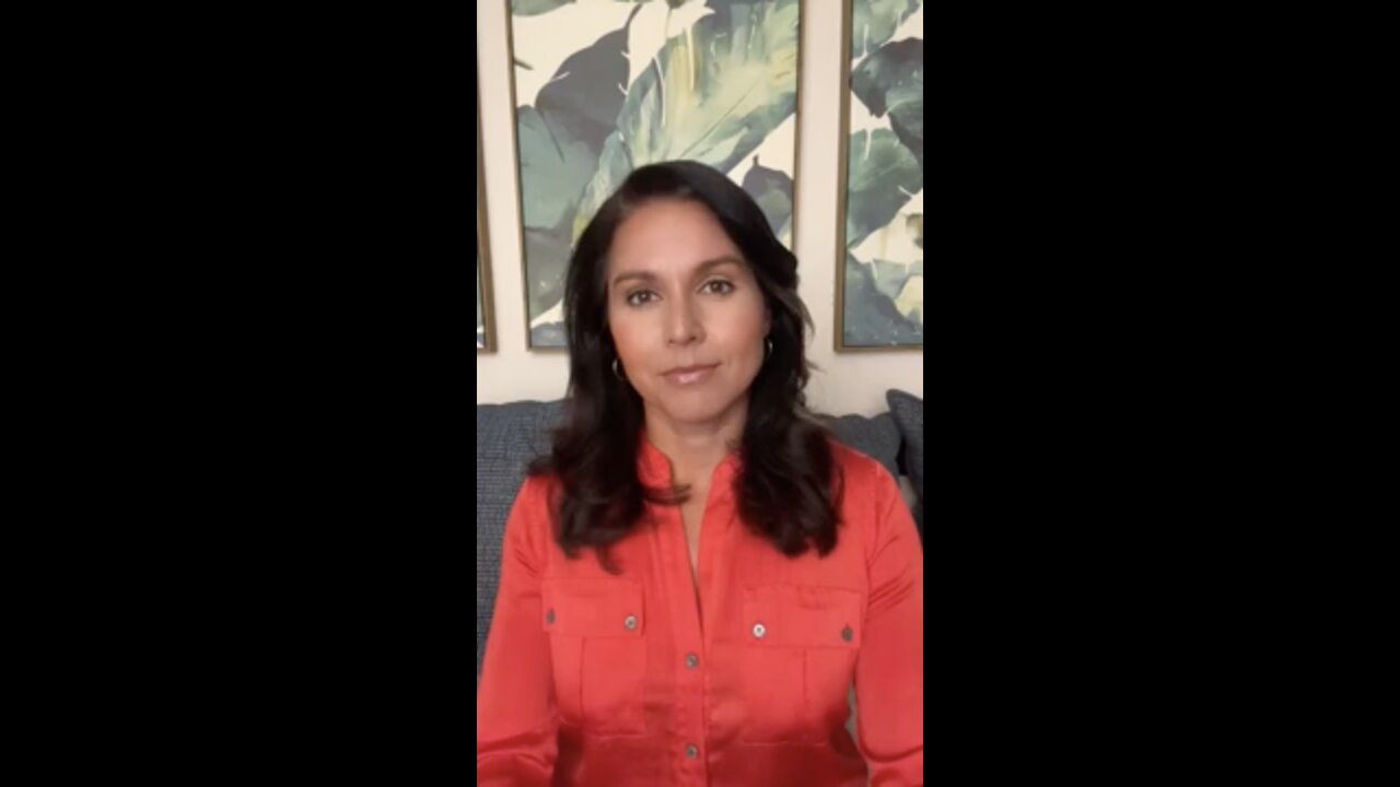 Tulsi Gabbard Slams Dems, GOP: Where Are Your Voices Condemning the Ministry of Truth?