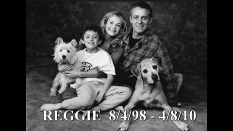 Reggie The Ridgeback Memorial Video