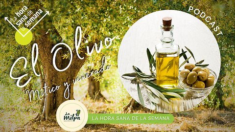 El Olivo: Un Símbolo Universal de Salud, Paz y Vida