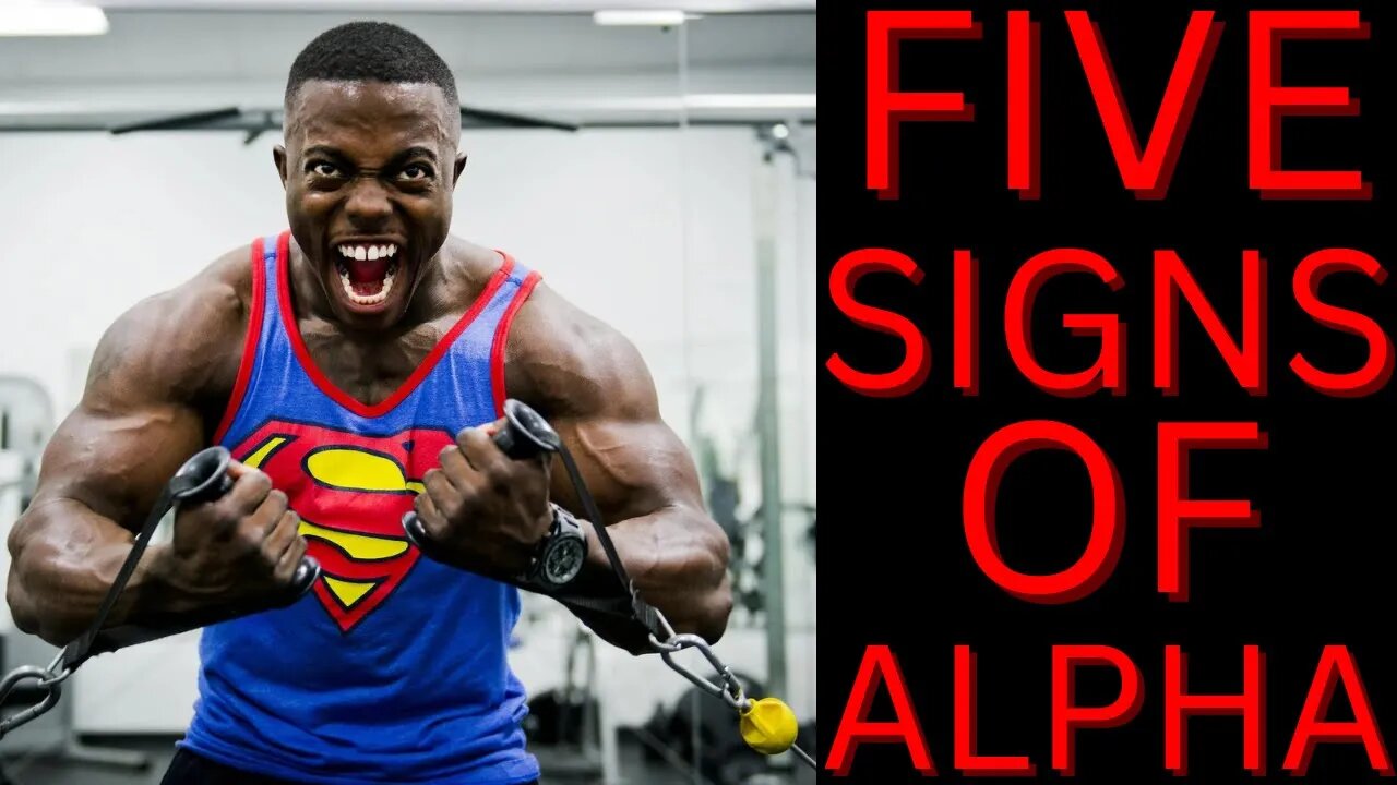 Top 5 signs of a true alpha male!