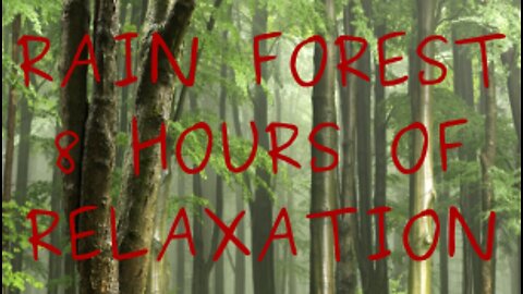 Rain Forest Black Screen 8 hours of relaxing sleep sounds