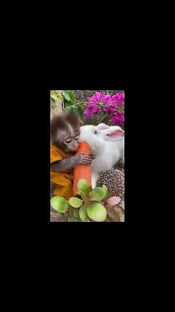 Sharing is care and love