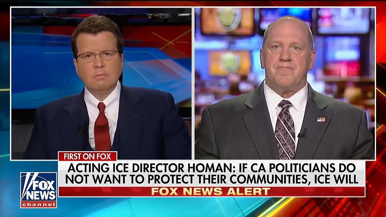 Illegal Alien Protection: Politicians Putting the Public at Risk
