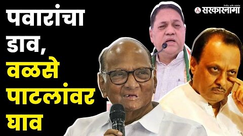 पवारांचा बदला, वळसे पाटलांना शिष्याचेच आव्हान ? | Devdatta Nikam | Dilip Walse Patil | Sharad Pawar