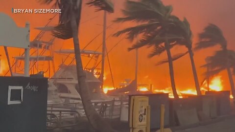 Maui fires update: Latest on Hawaii destruction, conditions