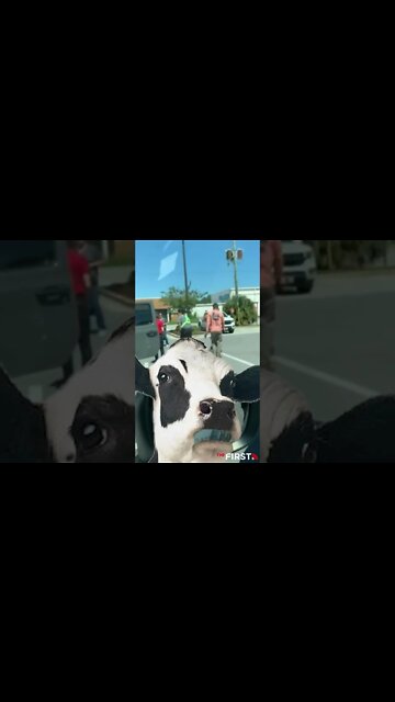 Chick-Fil-A Employee Stops Robbery!