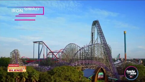 Iron Gwazi | Morning Blend
