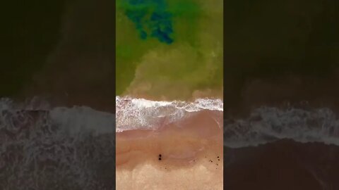 This water is very green