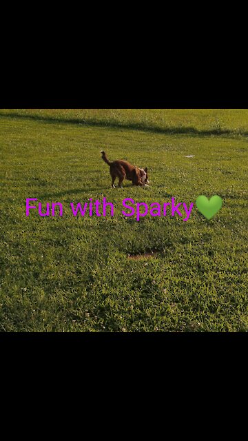Fun with Sparky