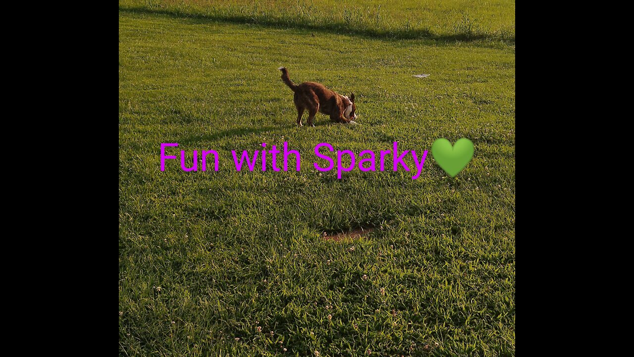 Fun with Sparky