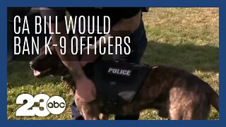 New California bill would ban K-9 officer arrests