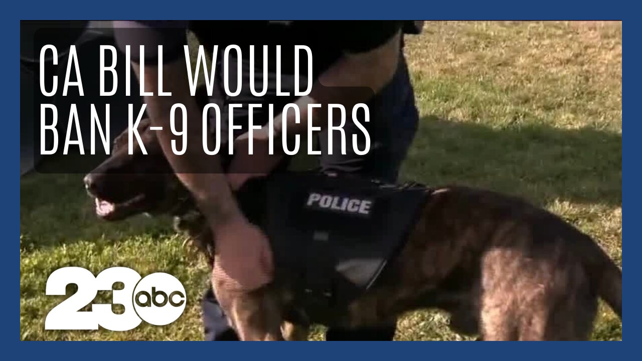 New California bill would ban K-9 officer arrests