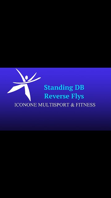 Standing DB Reverse Fly