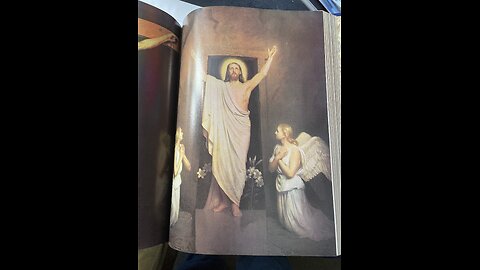 The Bible reading of the day the New Testament series Mark 4:30-34