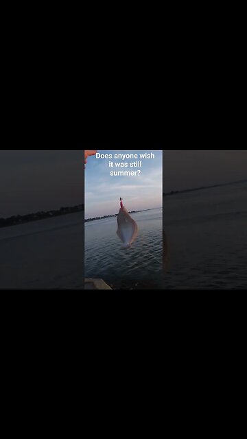 Does anyone wish it was still summer? #oceancitymaryland #flukefishing #fluke