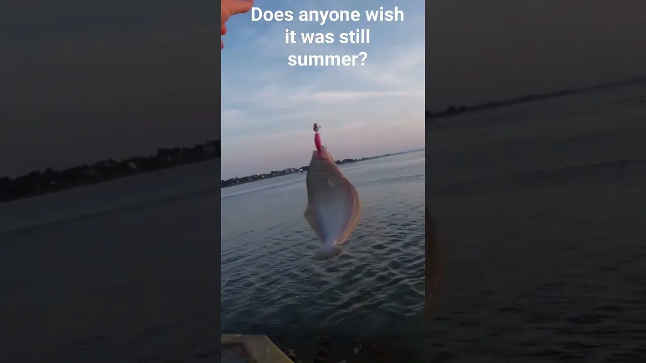 Does anyone wish it was still summer? #oceancitymaryland #flukefishing #fluke