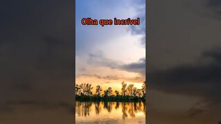 música relaxante