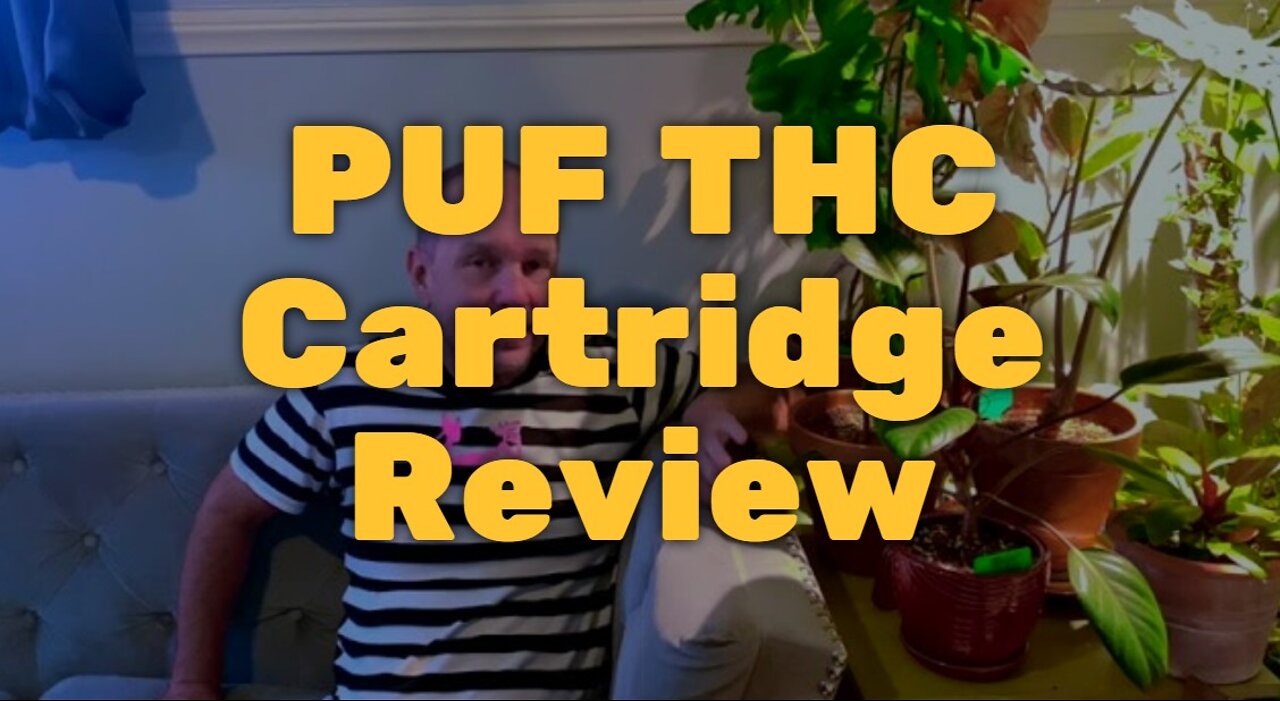 PUF THC Cartridge Review - Good Price and Taste