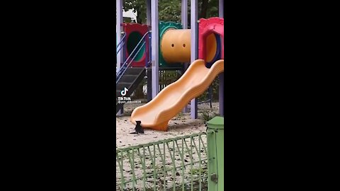 How to entertain yourself