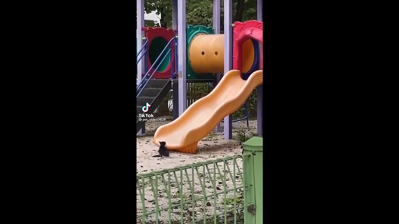 How to entertain yourself