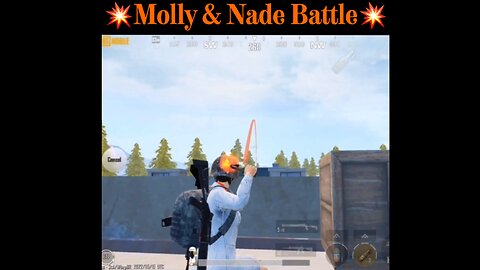 🔥Molly & Grenade Battle!🔥